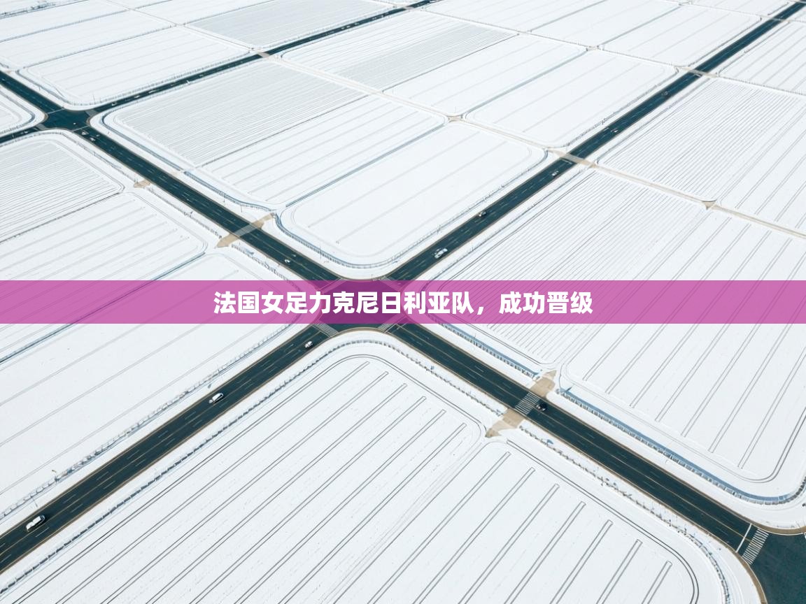 法国女足力克尼日利亚队，成功晋级  第1张