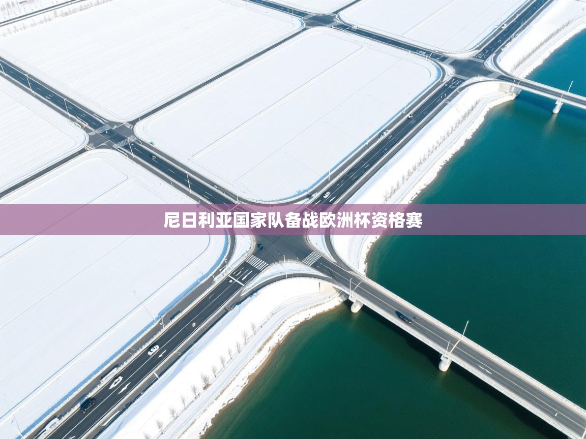 尼日利亚国家队备战欧洲杯资格赛 第2张