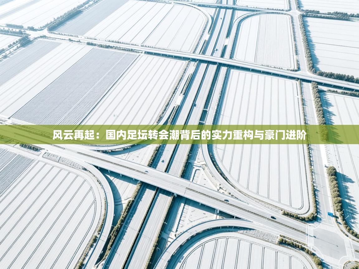 风云再起：国内足坛转会潮背后的实力重构与豪门进阶