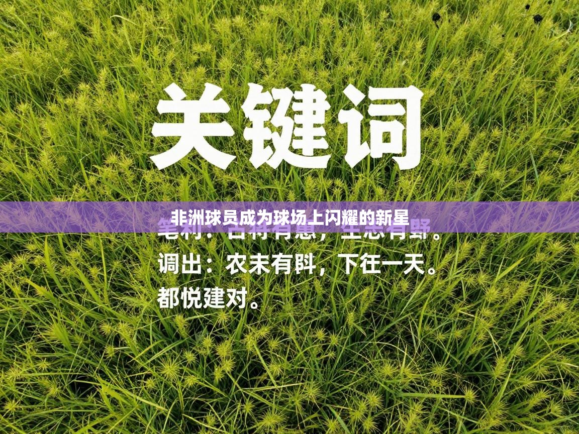 非洲球员成为球场上闪耀的新星 第2张